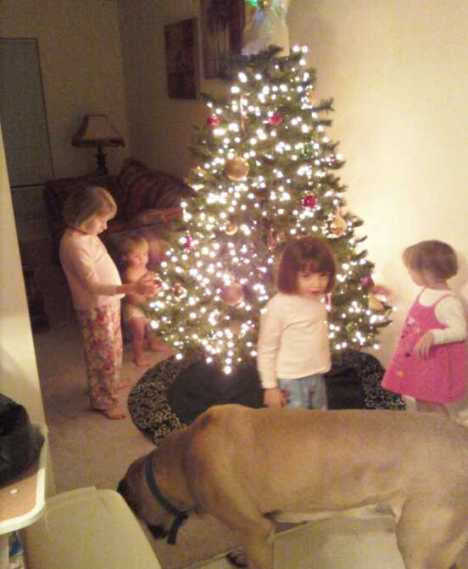 a-holiday-weekend-the-ladies-at-the-tree